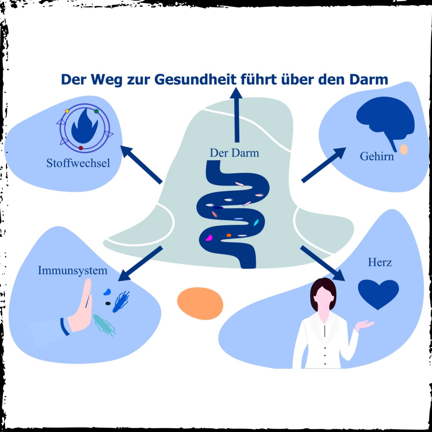 Darm: Histmin, Stoffwechsel, Gehirn, Herz