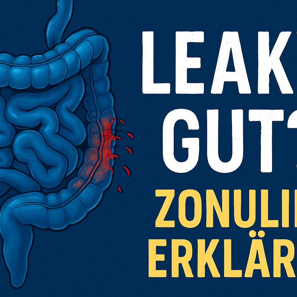 Leaky gut! Zonulin als Biomarker Darmgesundheit