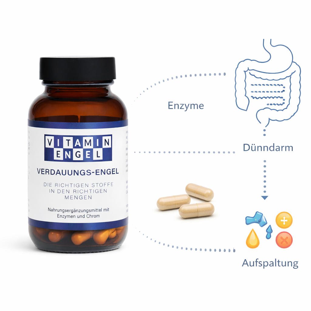 Verdauungs-Engel – gezielt entwickelt zur Unterstützung der Verdauung im Dünndarm.
